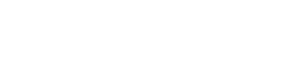 white-luvwish logo